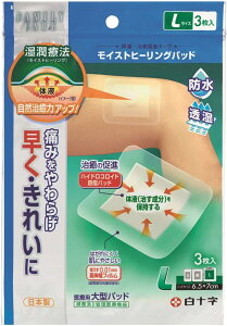 yZ3150~őzyǗË@z\ t@~[PA CXgq[Opbh L 3