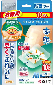 yZ3150~őzyǗË@z\ t@~[PA CXgq[Opbh p M 10