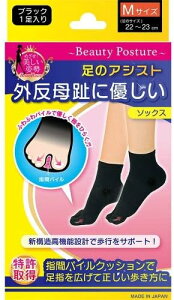 yZ3150~őzeR[|[V O\bNX MTCY 1g 22`23cm