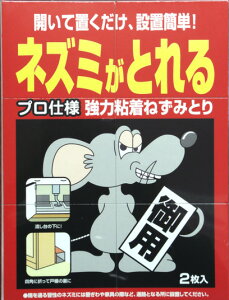 yZ3150~őzΏtm wLT`SlY~ƂV[g^Cv 2