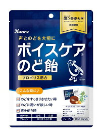【合算3150円で送料無料】カンロ ボイスケアのど飴 70g
