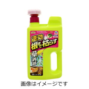 yZ3150~őzA[XK[f A[X 2000ml