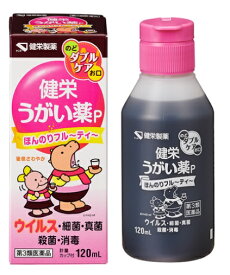 【合算3150円で送料無料】【第3類医薬品】健栄うがい薬P 120ml