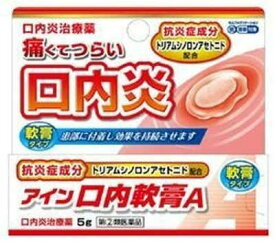 【合算3150円で送料無料】【第(2)類医薬品】アイン口内軟膏A 5g【セルフメディケーション税制対象】