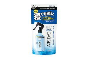 yZ3150~őzMcr[(GATSBY) QEH[^[ ߂p 250ml