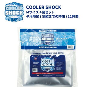 N[[VbN Zbg / M TCY 4Zbg ۗ COOLER SHOCK N[[{bNX JԂgp\  ނ AEghA Lv BBQ ҏ΍ ₦ nɂ hЗpi ʋ ʊw 