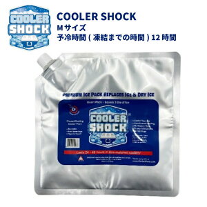 N[[VbN M TCY ۗ COOLER SHOCK N[[{bNX JԂgp\  ނ AEghA Lv BBQ ҏ΍ ₦ nɂ hЗpi ʋ ʊw ٓ MTCY AE