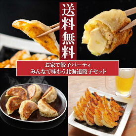 【送料無料 国産原料】『おうちで餃子パーティみんなで味わう北海道餃子セット』冷凍餃子 大粒餃子 北海道 北海道産小麦 ぎょうざ みそ餃子 チーズ チーズ餃子 おつまみ 北海道 お取り寄せ 国産餃子 人気 札幌味噌餃子 焼き餃子 プレゼント バーベキュー 41粒