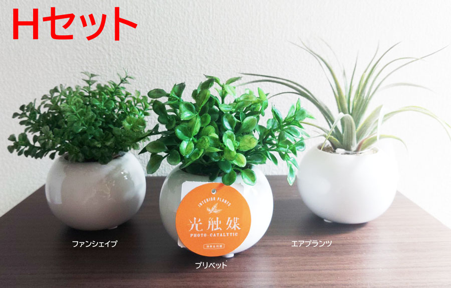 抗菌消臭作用がある光触媒加工を日本で行ってます 3個でお買い得 送料無料 抗菌 購買 消臭 インテリアフェイクグリーンリアルな仕上がりかわいい まあるい光触媒フェイクグリーン 業界No.1
