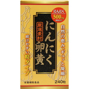ɂɂ 󂠂 AEgbg 240 ɂɂ  Tvg 500~|bL