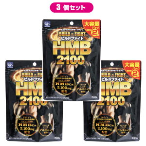 HMB Tv rht@CgHMB2100 eʃpbN 240 󂠂 AEgbg HMBTv Tvg veC AMj rh{fB rht@CgHMB y[֑Ώەiz