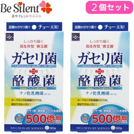 【メール便選択で送料無料】ガセリ菌 サプリメント ガセリ菌+酪酸菌 90粒 2個セットガセリ菌サプリ 酪酸菌 乳酸菌 サプリ 善玉菌【メール便対象品】