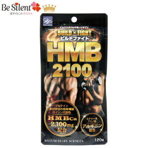 y11/30܂ŃGg[P5{zrht@CgHMB2100 120 veC AMj rh{fBveC AMj HMB HMBTv Tvy[֑Ώەiz