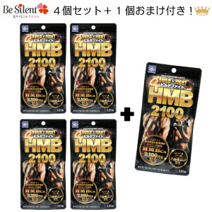 y11/30܂ŃGg[P5{z4Zbg+1܂t rht@CgHMB2100 120 veC AMj rh{fB rht@Cg HMB HMBTv