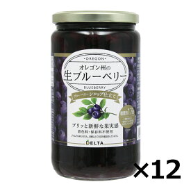 【2/28までエントリーでP5倍】オレゴン州の生ブルーベリーシロップ仕立て 750g 12個セット 送料無料デルタインターナショナル オレゴン州の生ブルーベリー ブルーベリー 瓶詰め【ケース出荷】