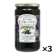【4/30までエントリーでP5倍】オレゴン州の生ブルーベリーシロップ仕立て 750g 3個セット 送料無料デルタ…
