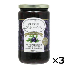 【2/28までエントリーでP5倍】オレゴン州の生ブルーベリーシロップ仕立て 750g 3個セット 送料無料デルタインターナショナル オレゴン州の生ブルーベリー ブルーベリー 瓶詰め