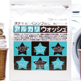 【11/30までエントリーでP5倍】家庭用ソーダ アルカリウォッシュ 3kg セスキ炭酸ソーダ100% しつこいタンパク汚れにも