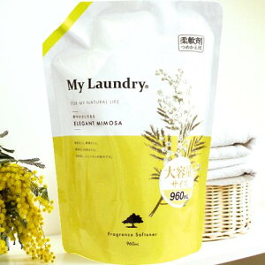 y10/31܂ŃGg[P5{z_ }Ch[ EGlX{[e mVR RۖhL RRibc XN WX~ KN zCgRbg ~U My Laundry { {g 500ml l 48