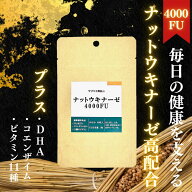 ナットウキナーゼ 4000FU 約1ヵ月分 30粒 コエンザイム DHA ビタミン 納豆キナーゼ4000 サプリメント 健…