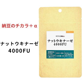 ナットウキナーゼ 4000FU 約1ヵ月分 30粒 コエンザイム DHA ビタミン 納豆キナーゼ4000 サプリメント 健康食品 送料無料 / 健康 不飽和脂肪酸 美容 サラサラ GMP 日本製 サポート専門店 なっとう さぷり natto