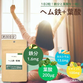 ヘム鉄 + 葉酸 約1ヵ月分 60粒 ビタミンC カルシウム 鉄分サプリ サプリメント 鉄 鉄分 ミネラル 補給 送料無料 鉄剤 錠剤 【成長 美容 鉄分不足 鉄分補給 女性 子供 中学生 高校生 妊婦】 GMP 日本製 てつぶん ようさん おとく