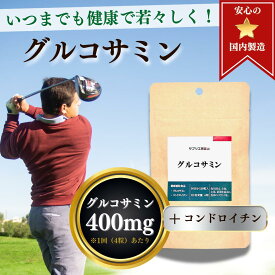 グルコサミン コンドロイチン 約1ヵ月分 120粒 サプリメント 国産 違和感 サプリ 健康 美容 高齢 元気 アクティブ 運動 階段 山登り 日本製 おとく セット ぐるこさみん こんどろいちん ギフト 父の日 ちちのひ