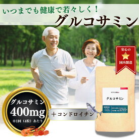 グルコサミン コンドロイチン 約1ヵ月分 120粒 サプリメント 国産 違和感 サプリ 健康 美容 高齢 元気 アクティブ 運動 階段 山登り 日本製 おとく セット ぐるこさみん こんどろいちん ギフト