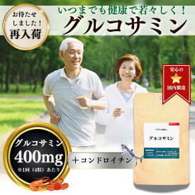 グルコサミン コンドロイチン 約1ヵ月分 120粒 サプリメント 国産 違和感 サプリ 健康 美容 高齢 元気 アクティブ 運動 階段 山登り 日本製 おとく セット ぐるこさみん こんどろいちん ギフト 父の日 ちちのひ