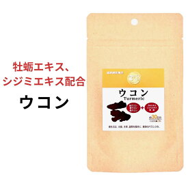 （1袋/3袋/6袋） ウコン 60粒 約1ヶ月分 秋ウコン 春ウコン 紫ウコン 牡蠣 シジミエキス オルチニン お酒 サプリメント しじみ 亜鉛 GMP お得 専門店