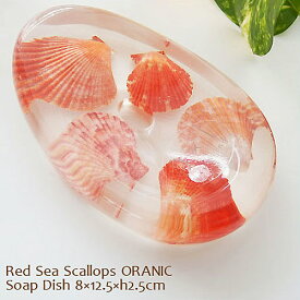 【在庫品セール】(定形外郵便対応)ソープディッシュ Red Sea Scallops ORANIC アクリル石鹸置き スタイリッシュ Heavenlyjew《在庫品》