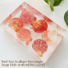【在庫品セール】(定形外郵便対応)ソープディッシュ Red Sea Scallops Rectangle アクリル石鹸置き スタイリッシュ Heavenlyjew《在庫品》