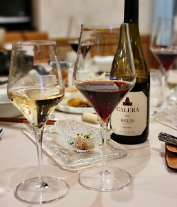 COX Xv[ {h[ 550ml {~ICW ԃC  KXH HΉk񂹏il