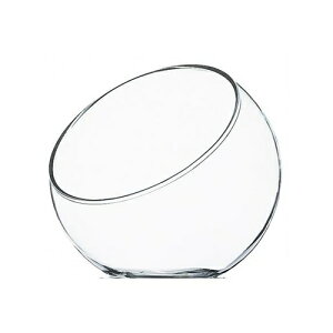 Ay^CU[OX @[T^C ΂߃ACXN[Jbv 120 KXH OXk񂹏il