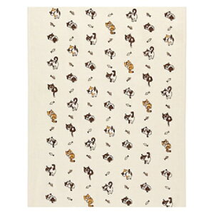 (`OX֑Ή)z Ăʂ ƂȂ̃lR ^I {k񂹏il