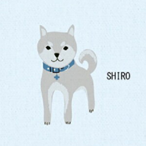 (`OX֑Ή)^I ͂K[[ V[o u[ K[[^I tFCX^I k񂹏il