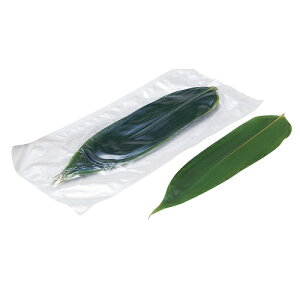 `OX֑Ή  M(^pbN) 10 ~ p t fBXvCi񂹏ij