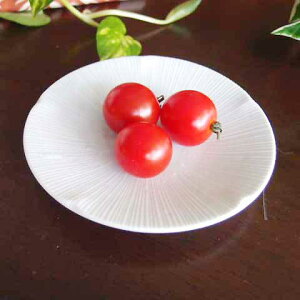 �a�̊� �a�H�� ����i�@�v�`�v���[�g ���M �V���v�� ���X�M ���Z�� ���{�� �H�� ������� �k�����񂹏��i�l