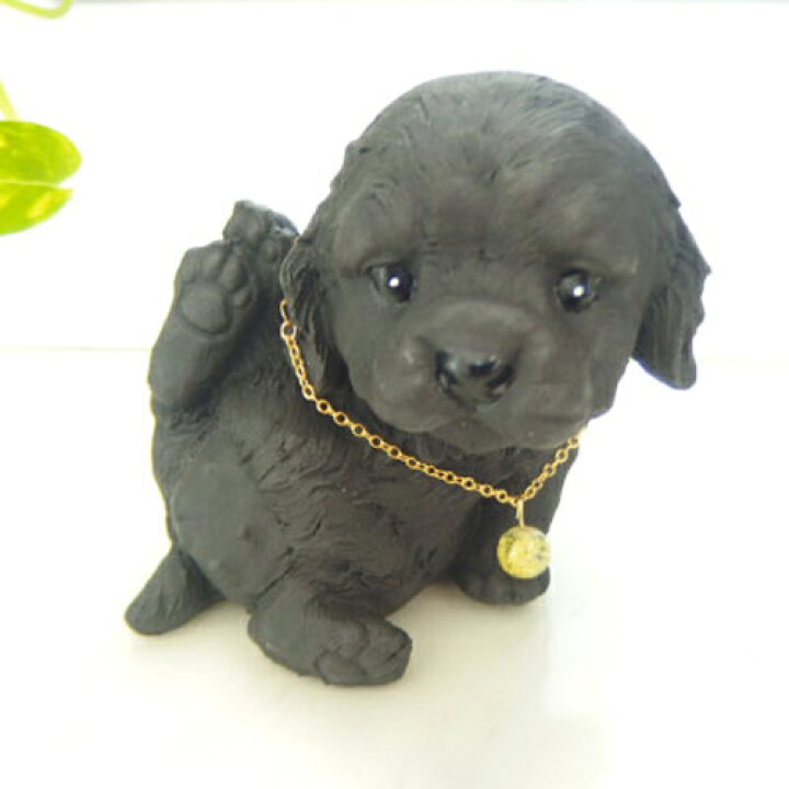 楽天市場 5pオフ マラソン連動新生活sale 横浜炭物語 風水ドッグ犬シリーズ ゴールデンレトリバー 置物 お洒落 可愛い 動物 子いぬ 仔イヌ 贈り物 ギフト プレゼント 消臭 癒し インテリア おしゃれ お取り寄せ商品 Sara Cera 楽天市場店