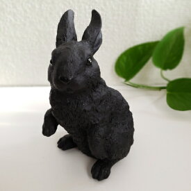 《在庫品》うさぎ年 干支 卯年 横浜炭物語 Rabbit うさぎちゃん1 置物 お洒落 可愛い 動物 ウサギ 贈り物 アニマル ギフト プレゼント 消臭 癒し インテリア おしゃれ （お取り寄せ商品）