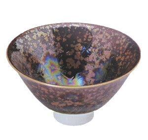 āE ࠓ u aH H ̂  { 蕨 v[g { k񂹏il