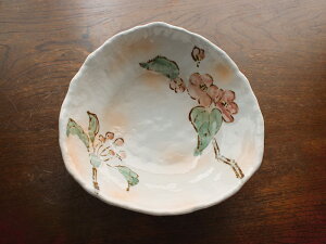 yAEgbgz{ ؂̎ p 19.5cm / ẙ ϕ ؔ N̗ǂԕ sN {E ˔  aJtF