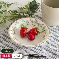 【アウトレット】イタリア風 NB フルーツ小鉢 トンボ Φ14cm / 洋食器 フルーツ皿 フルーツ鉢 取り皿 取…