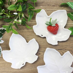 yAEgbgzH [t M [11×10.5×H1.7cm] / M M t JGf ݂ gt c^Ԃǂ eB[obOgC M