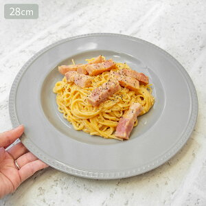 yAEgbgzO[hbg 28cm v[g / mH C pX^M O[ DF M M v[g ƖpH