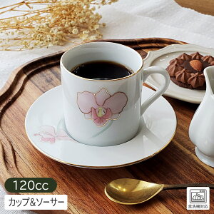 yAEgbgzJgA R[q[Jbv\[T[ 120cc / H Jbv&\[T[ R[q[Jbv Jbv \[T[  ~j S[hC zCg  ԕ sN JtF g Ɩ