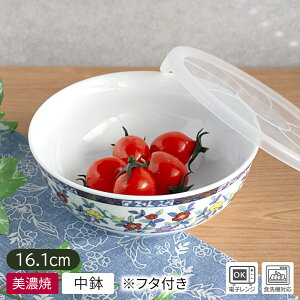 yAEgbgzFT Ԓ  mbvpbNt 16.1cm / H aH   ϕ Wt pbNt WpbN X^bN X^bN[ ۑe FT Ԓ a ėD AEg