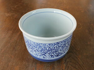 yAEgbgzt ^R oPbgij 15.9cm /  [ ^ ꕨ e  Jo[