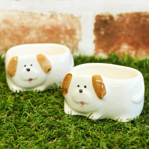 yAEgbgzCk ~j|bg [7×5.3×H4.2cm] /   ~jJbv  ϗtA v^[