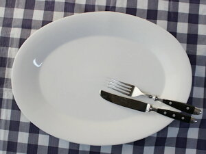 yAEgbgzzCg Lʃv^[ [37.8cm×28cm×h3.7cm] / Vv AWAH ƖpH M v[g rbtF pM p[eB[M p[eB[v[g ؐ